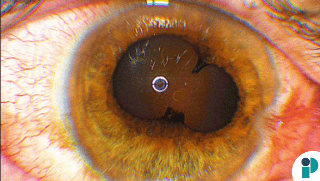 original web 2025 12 01t181203.041