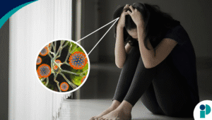 original web 2025 12 01t183053.252