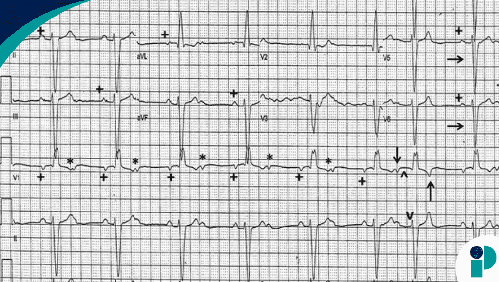 original web 2025 12 02t183512.558