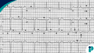 original web 2025 12 02t183512.558