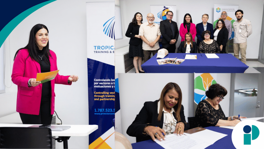 original web 2025 12 04t144808.636