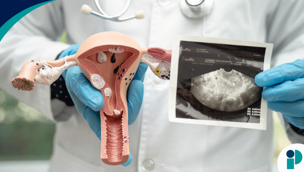 original web 2025 12 05t193322.354