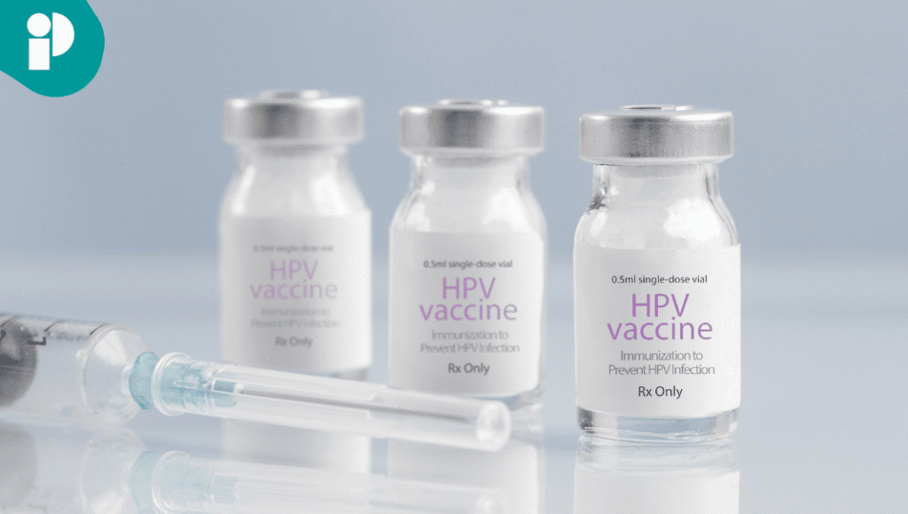 original web 2025 12 12t152550.008