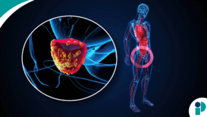 original web 2025 12 15t182534.697