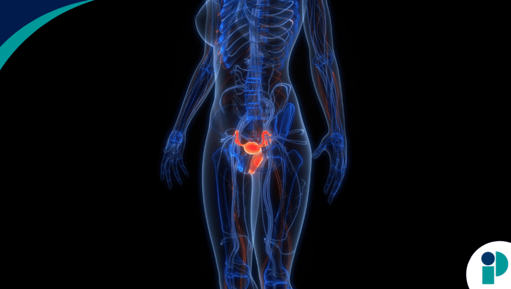 original web 2025 12 16t171024.902