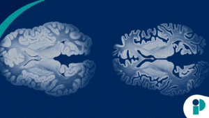 original web 2025 12 17t172250.776