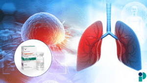 original web 2025 12 18t111939.663