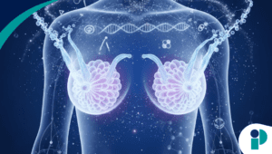 original web 2026 01 27t170226.989