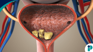 original web 2026 01 28t180645.322