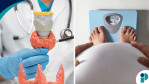 notas de guardia web