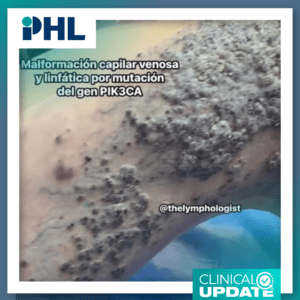 original plantillas fb (7)