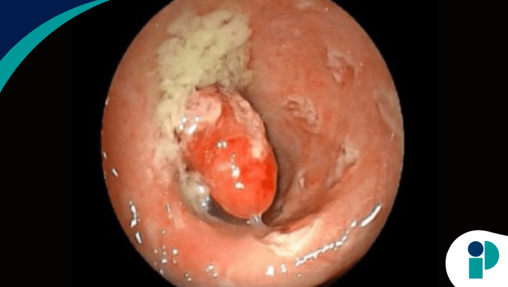 original web 2026 02 06t155611.145