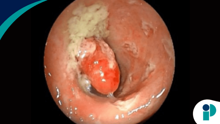 original web 2026 02 06t155611.145