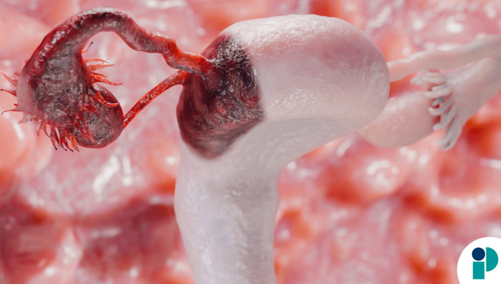 original web 2026 02 10t183404.579