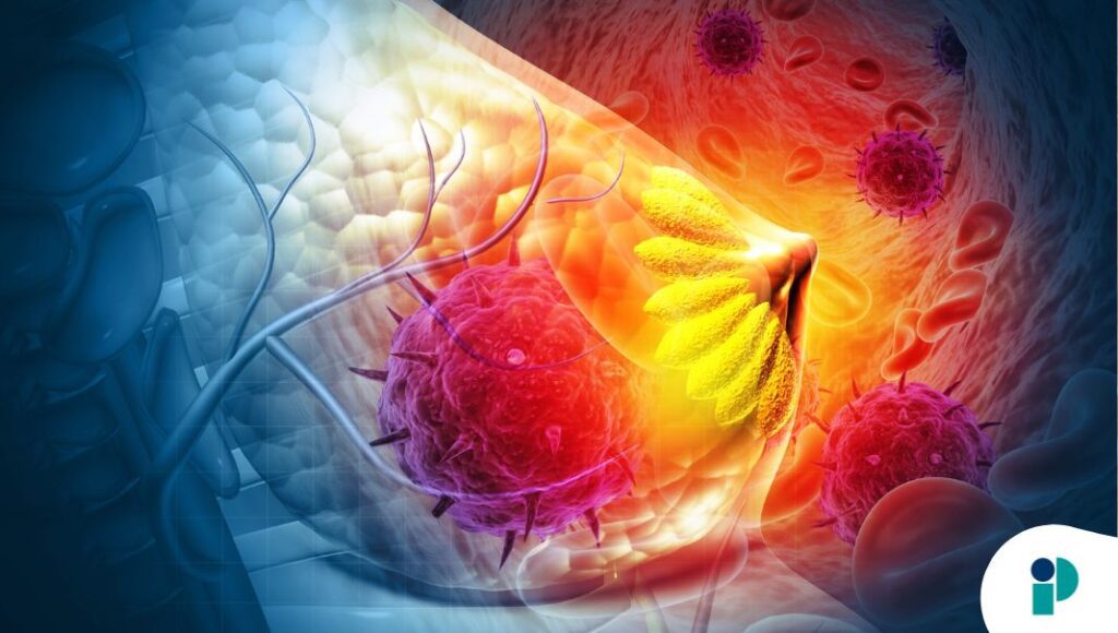 original web 2026 02 12t170857.143