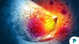 original web 2026 02 12t170857.143