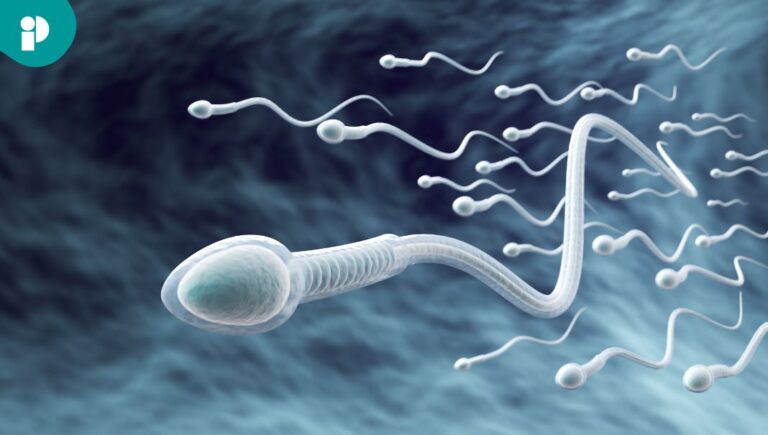 original web 2026 02 13t182313.711