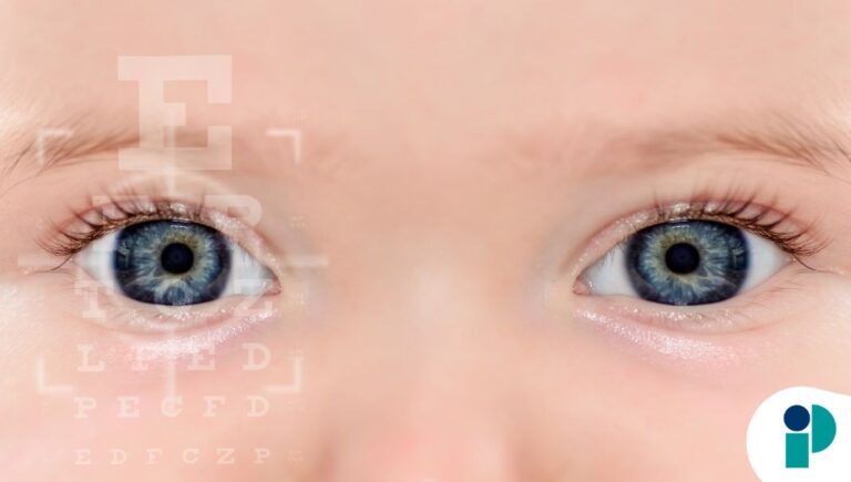 original web 2026 02 16t174027.096