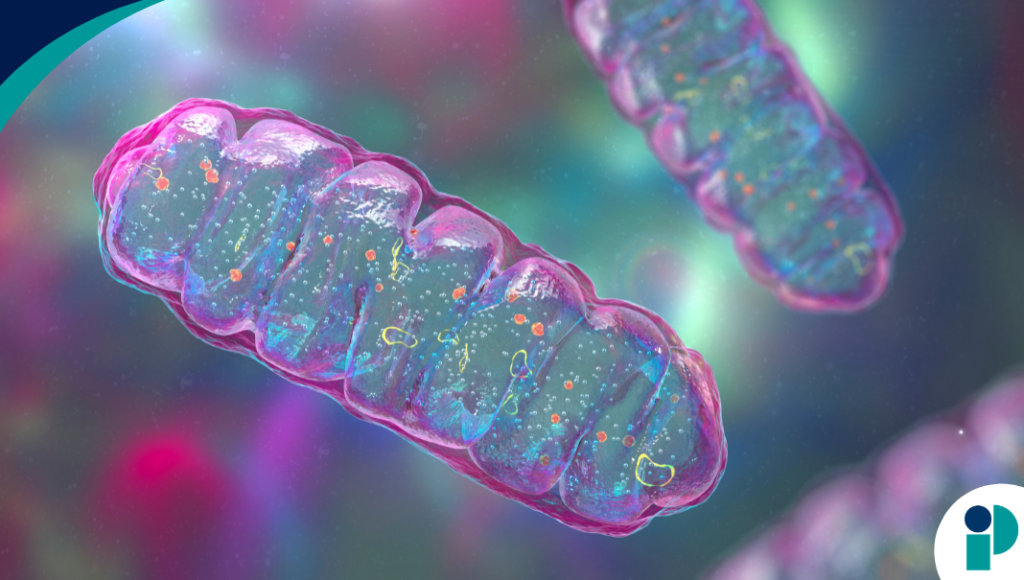 original web 2026 02 17t160315.012