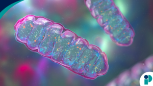 original web 2026 02 17t160315.012