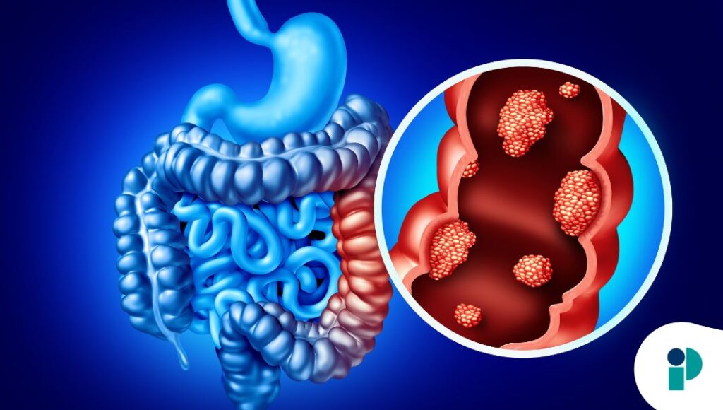 original web 2026 02 17t181133.948