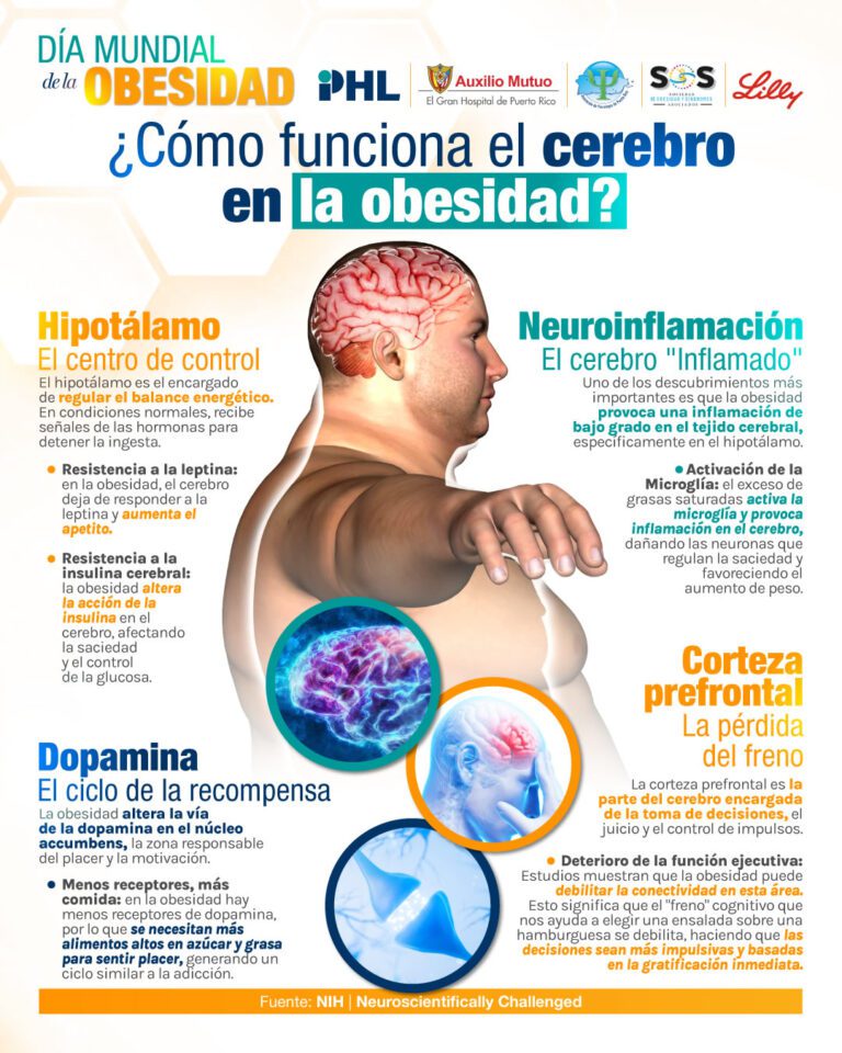 dia mundial de la obesidad