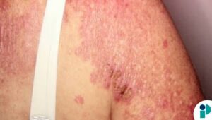 original web 2026 03 05t141332.986