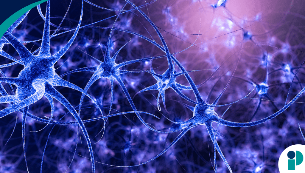 original web 2026 03 05t173945.403