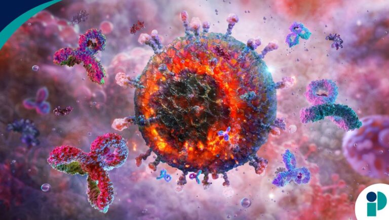 original web 2026 03 06t163601.950