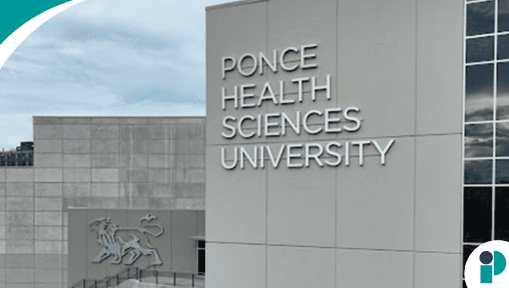 original web 2026 03 11t110531.593