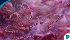 original web 2026 03 11t182700.165