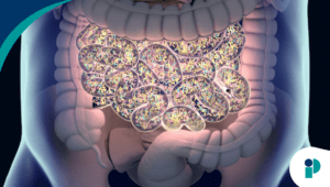 original web 2026 03 12t122752.353