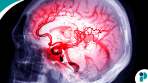 original web 2026 03 16t154005.187