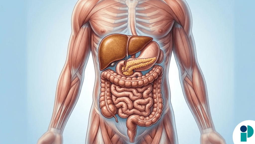 original web 2026 03 19t173640.706