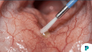 original web 2026 03 26t172110.378