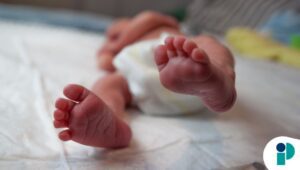 original web 2026 04 07t170821.838