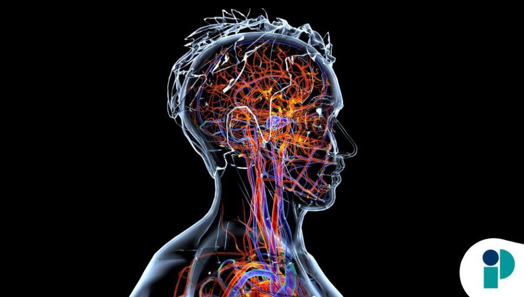 original web 2026 04 08t162028.724