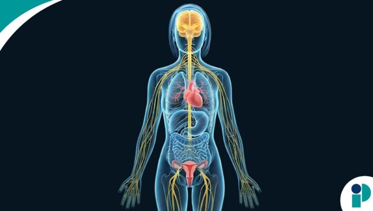 original web 2026 04 16t182156.814