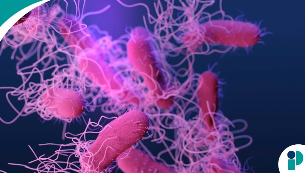 original web 2026 04 17t150744.028