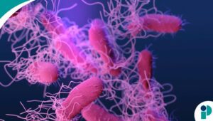 original web 2026 04 17t150744.028