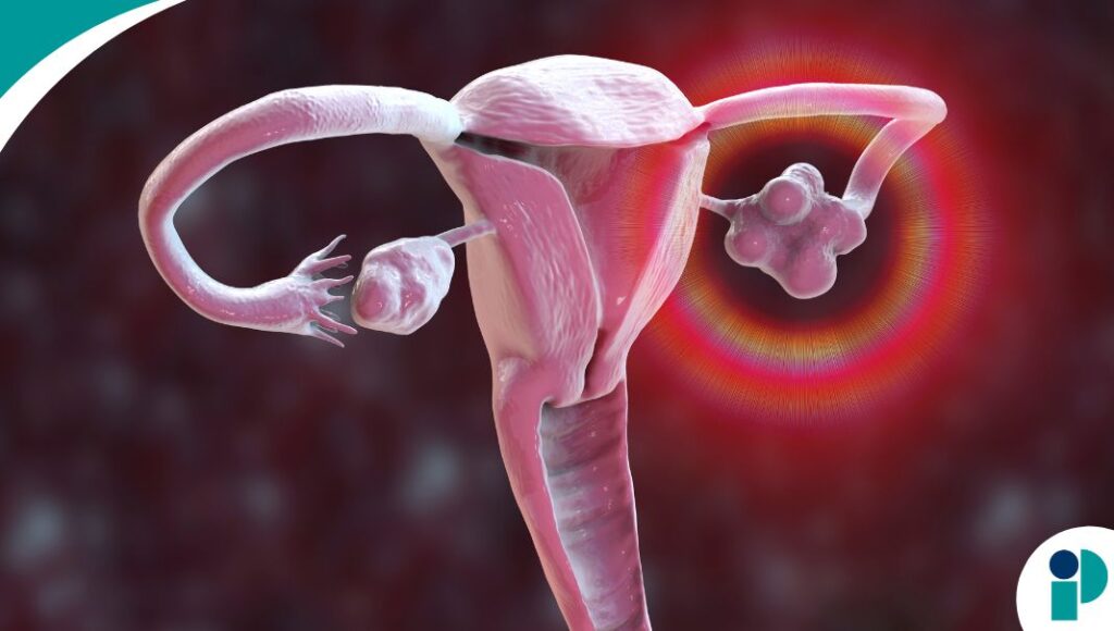 original web 2026 04 21t130833.907