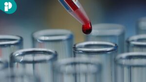 original web 2026 04 22t174301.435