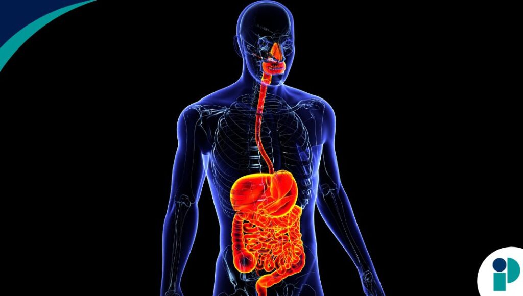 original web 2026 04 24t172835.509