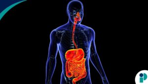 original web 2026 04 24t172835.509