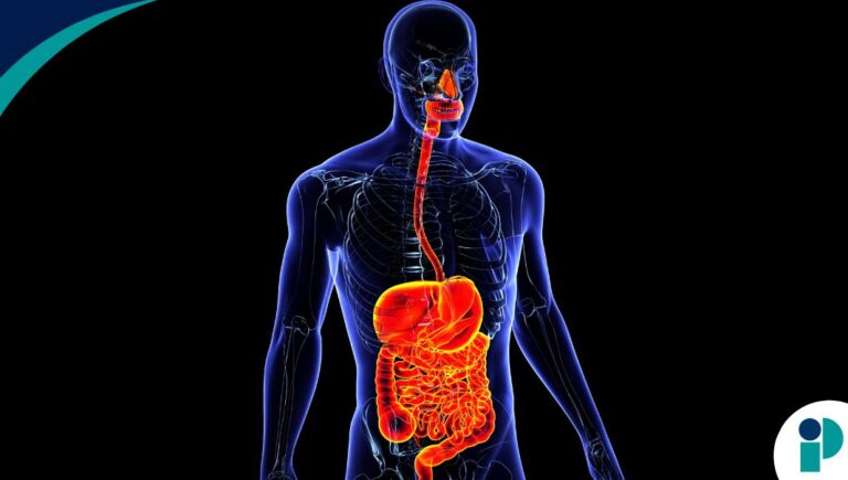 original web 2026 04 24t172835.509