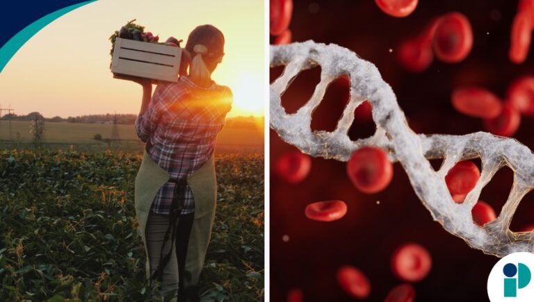 original web 2026 04 24t181725.455