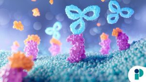 original web 2026 04 27t155858.603