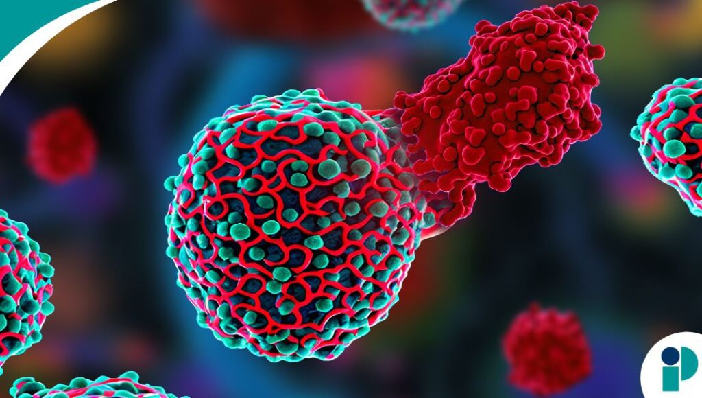 original web 2026 04 29t163936.939