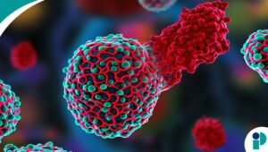 original web 2026 04 29t163936.939