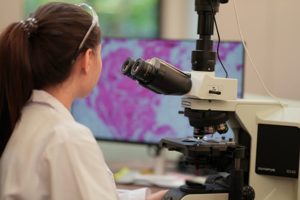 a,biomedical,researcher,uses,an,ai powered,platform,to,analyze,complex